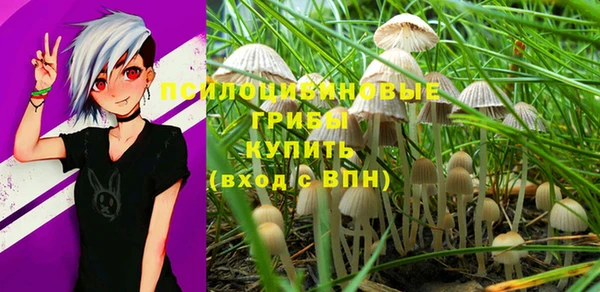 прущие крисы Беломорск